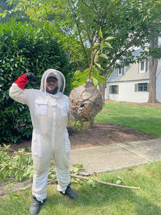 On the Spot Pest Control Picture 7