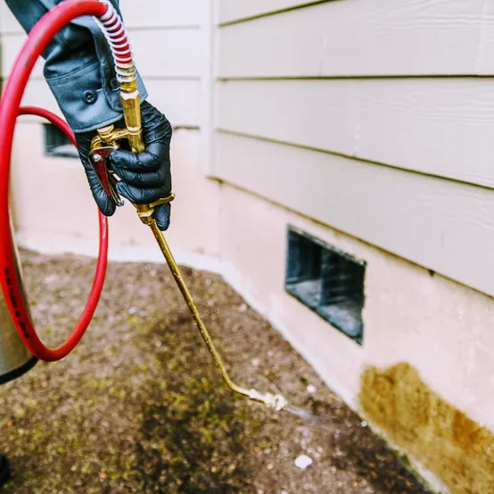 On the Spot Pest Control Picture 5