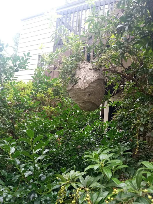 On the Spot Pest Control Picture 4