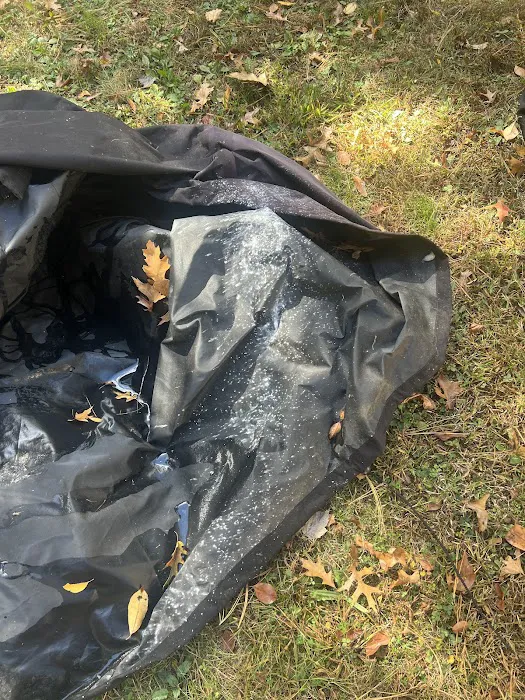 On the Spot Pest Control Picture 6