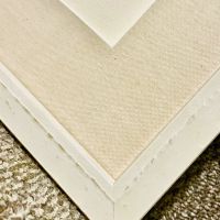 Ace Walco Pest Control ico