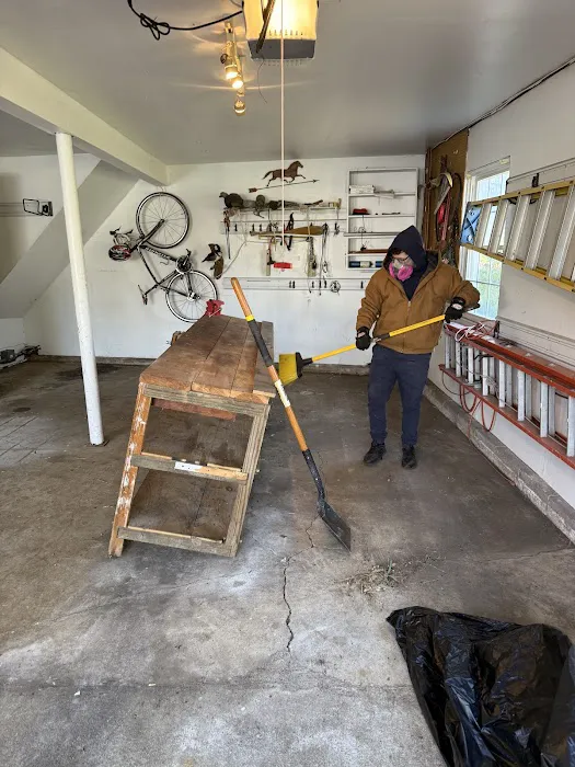 Green Rodent Restoration LLC Picture 3