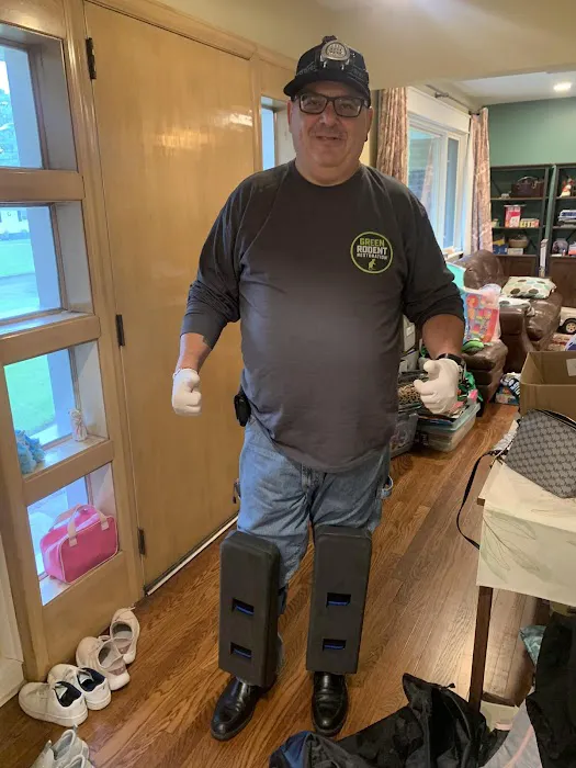 Green Rodent Restoration LLC Picture 8