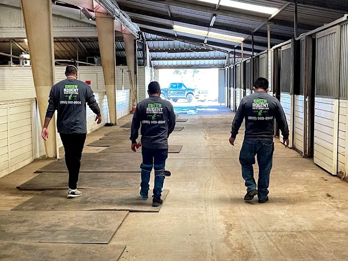 Green Rodent Restoration LLC Picture 10