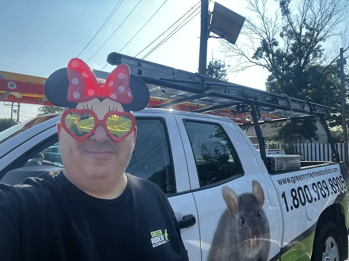 Green Rodent Restoration LLC Picture 9