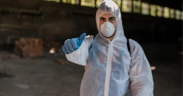 Olympic Exterminators & Pest Control Picture 5