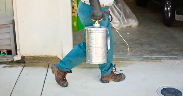 Olympic Exterminators & Pest Control Picture 6