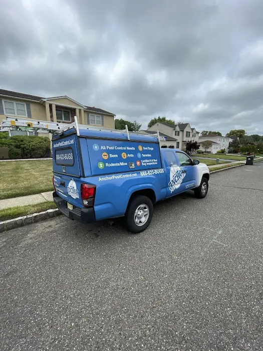 Anchor Pest Control Picture 3