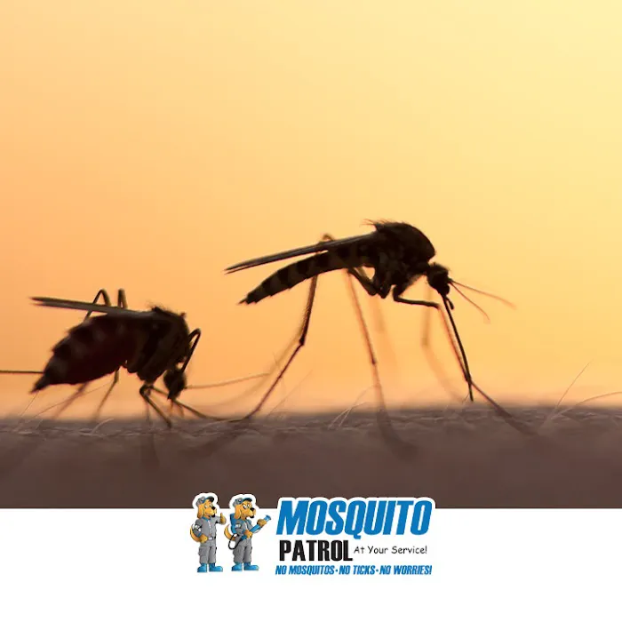 NJ Mosquito Patrol LLC Picture 1