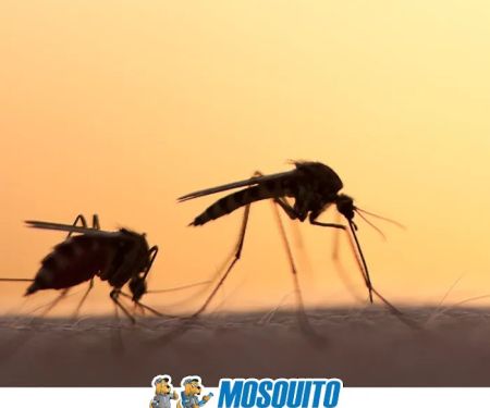 NJ Mosquito Patrol LLC