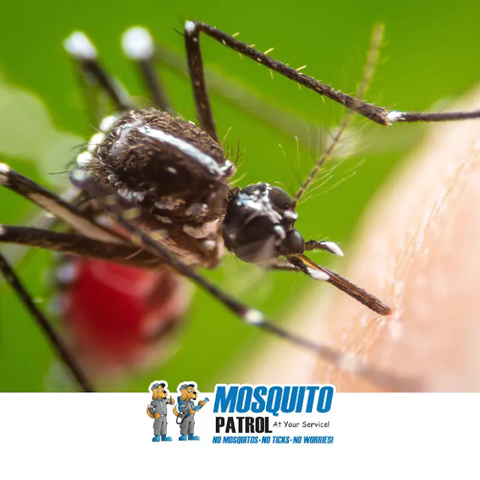 NJ Mosquito Patrol LLC Picture 3