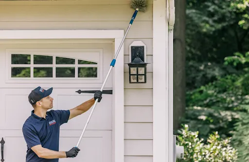 Excel Pest Services Picture 8