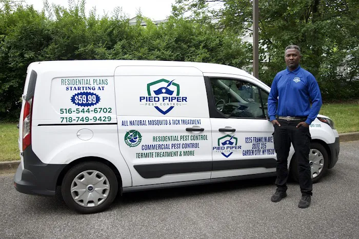 Pied Piper Pest Control Picture 7