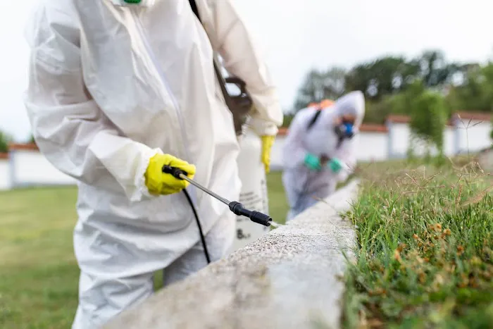 Pied Piper Pest Control Picture 4