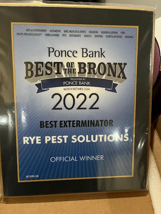 Rye Pest Solutions Picture 6