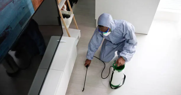 Rye Pest Solutions Picture 2
