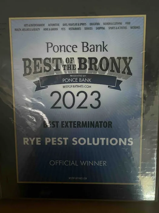 Rye Pest Solutions Picture 5