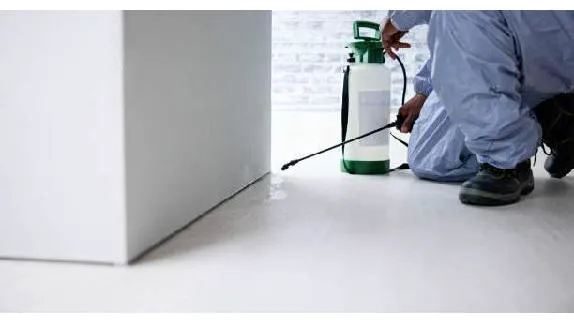 Rye Pest Solutions Picture 1