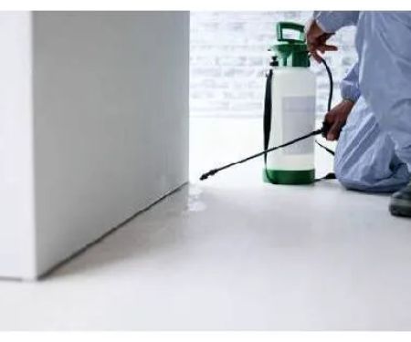 Rye Pest Solutions