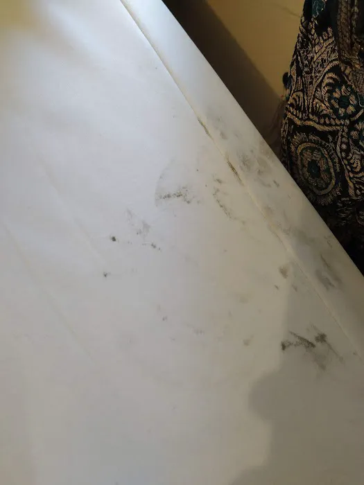 Sani Tech Pest Inc Picture 2