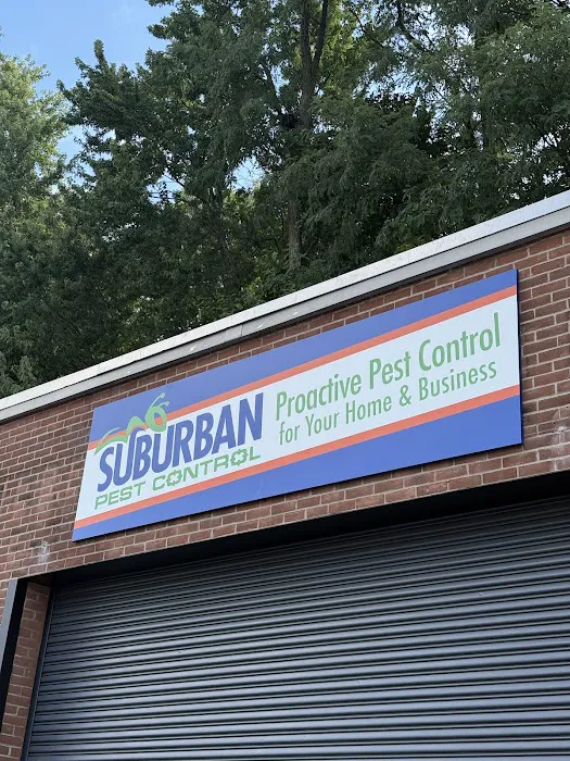 Suburban Pest Control Picture 5