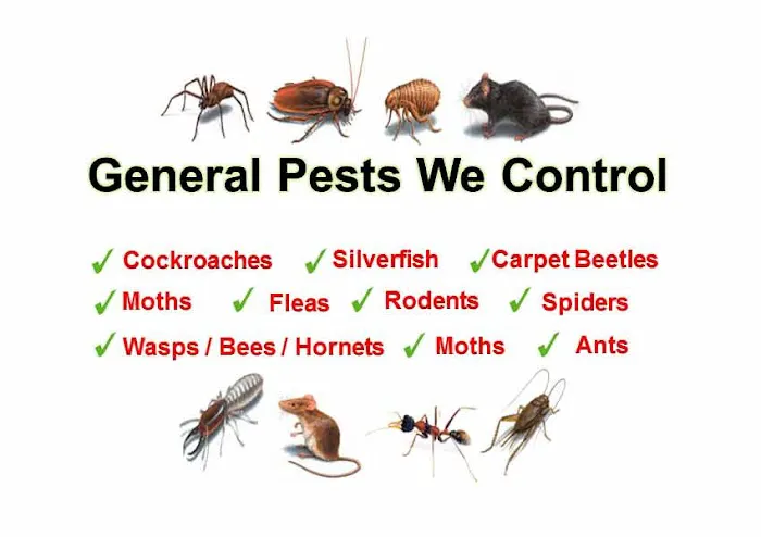 United Exterminators Picture 5