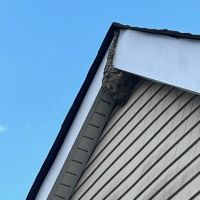 United Exterminators ico