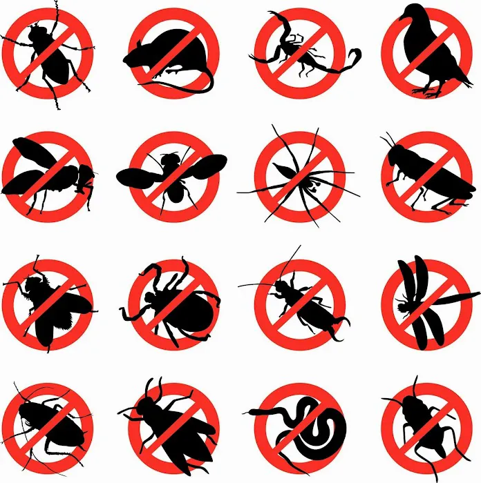 Richard J. Sica Pest Control Picture 2