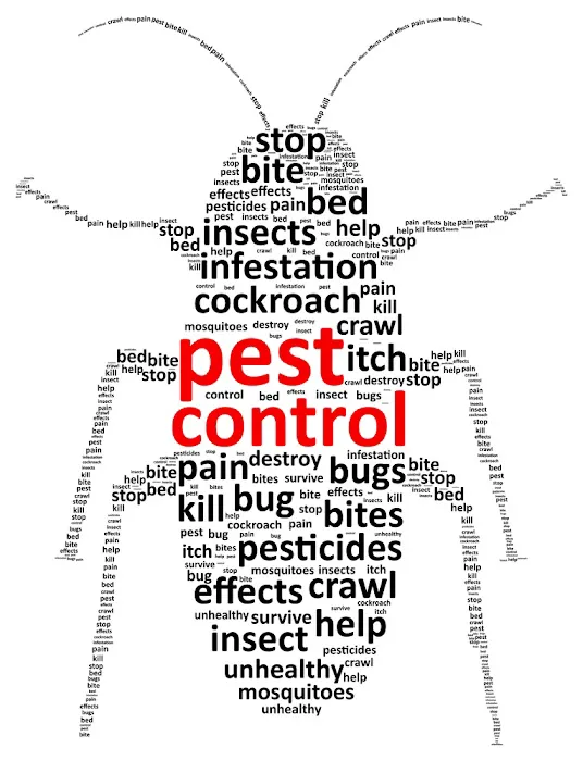 C and E Pest Management inc Picture 9