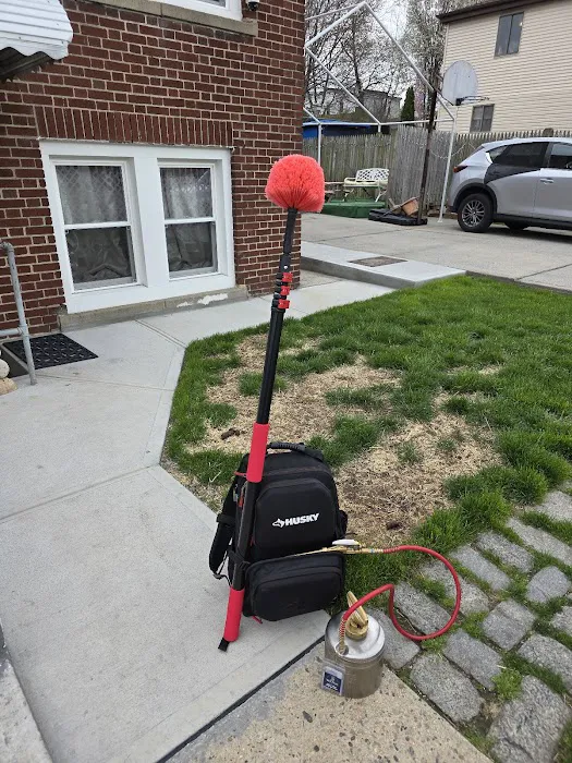 DLS Pest Solutions Picture 9