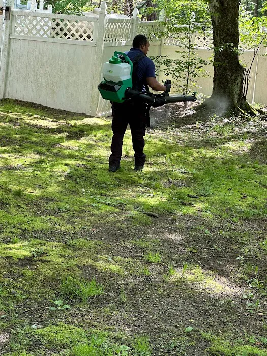 DLS Pest Solutions Picture 5