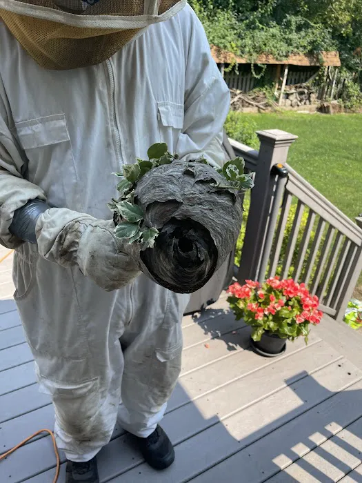 Kapture Pest Control Picture 4