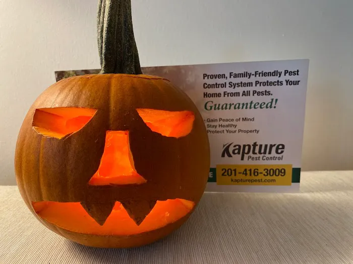 Kapture Pest Control Picture 2