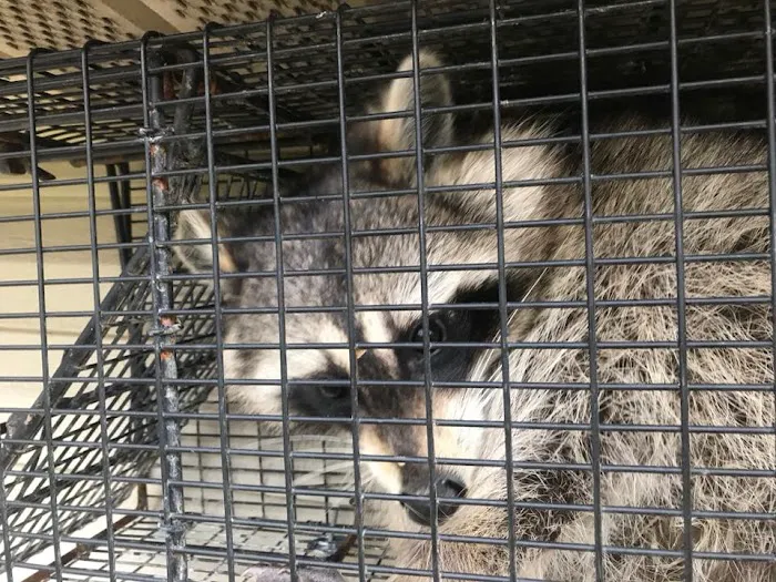 Old Exterminator Pest Control Picture 2