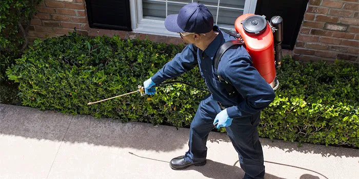 Gotham Pest Control, Inc. Picture 2