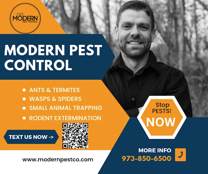 Modern Pest Control Picture 5