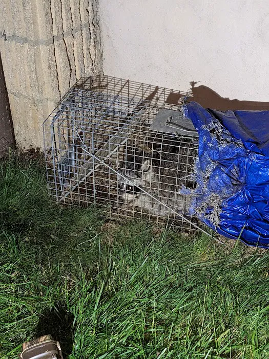 Modern Pest Control Picture 6