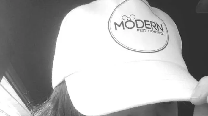 Modern Pest Control Picture 4