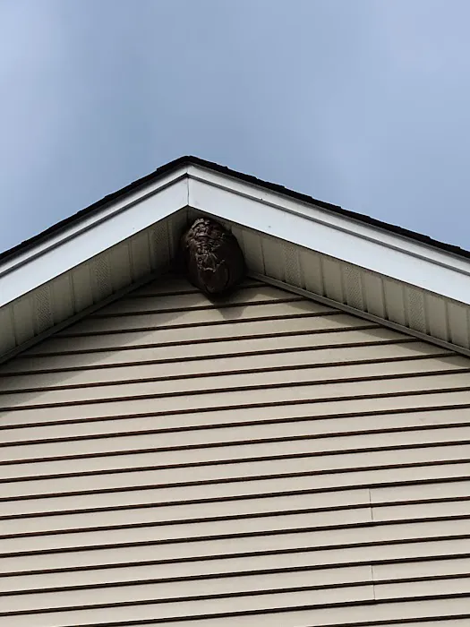 Modern Pest Control Picture 1