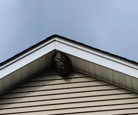Modern Pest Control