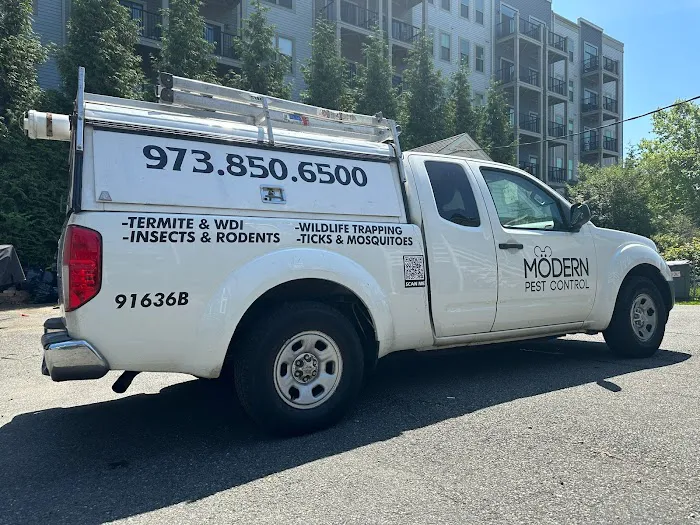 Modern Pest Control Picture 10