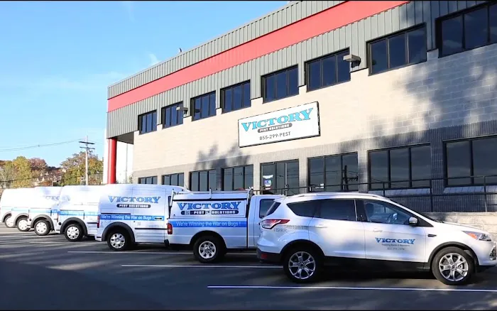 Victory Pest Solutions Picture 8
