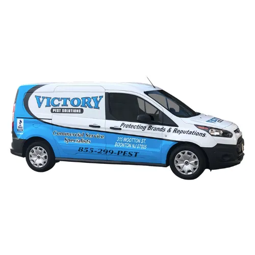 Victory Pest Solutions Picture 1