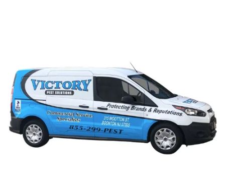 Victory Pest Solutions