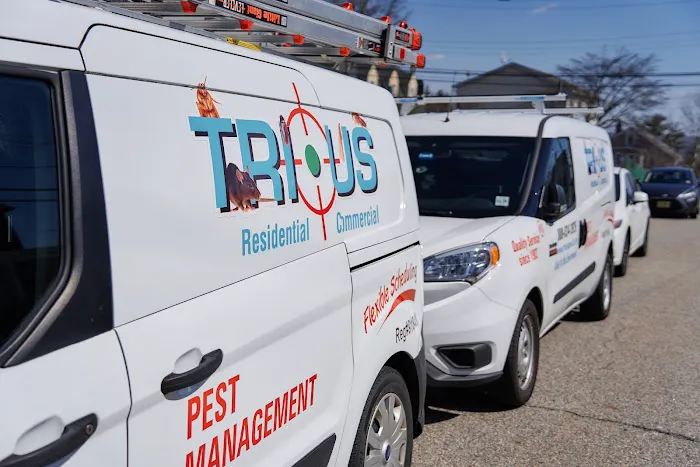 Trius Pest Management - NJ Picture 7