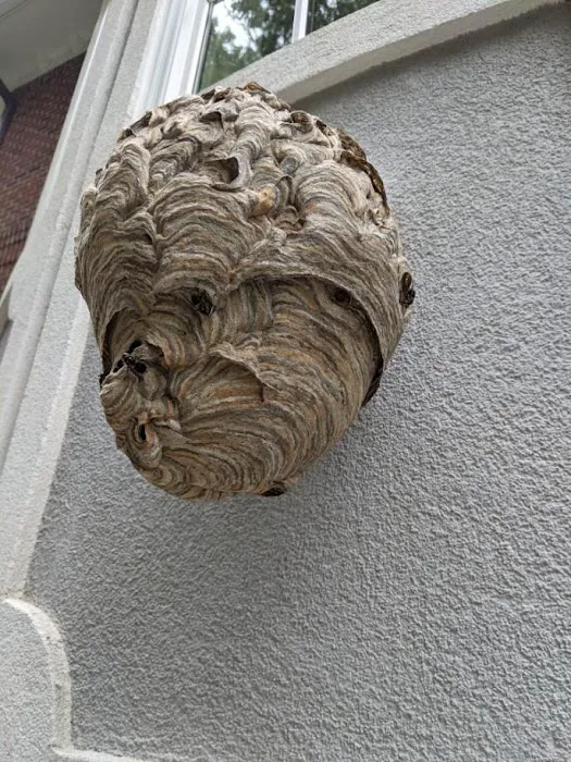 Trius Pest Management - NJ Picture 4