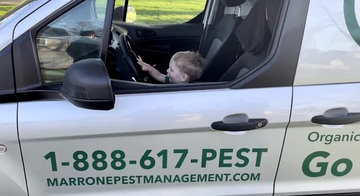Marrone Pest Management Services, LLC. Picture 5