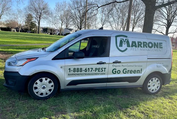 Marrone Pest Management Services, LLC. Picture 4