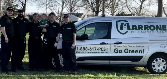 Marrone Pest Management Services, LLC. Picture 1