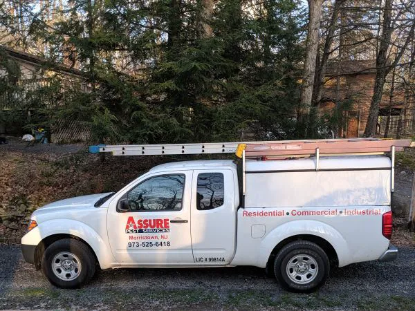 Assure Pest Services Picture 6